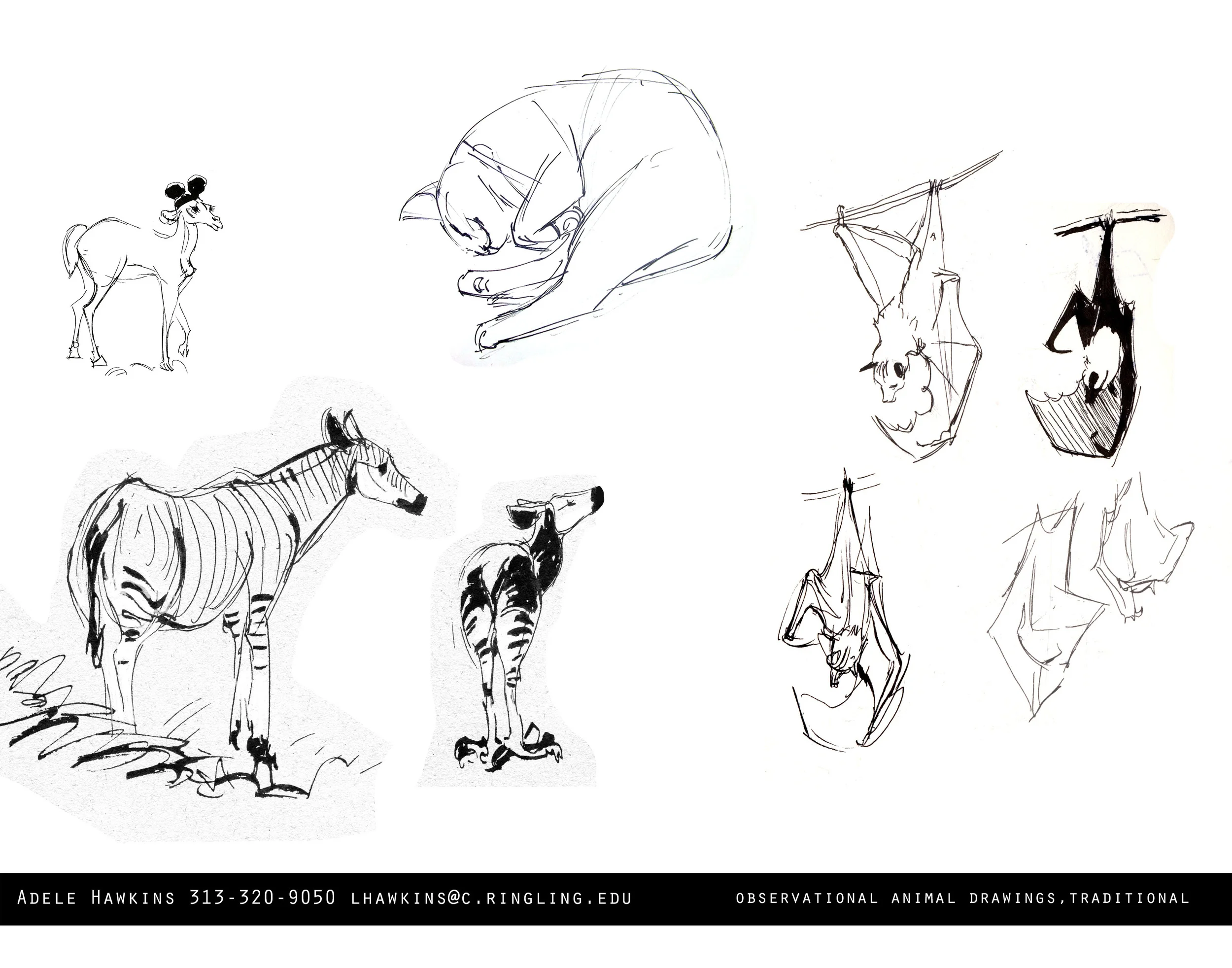 P__0014_Animals.jpg