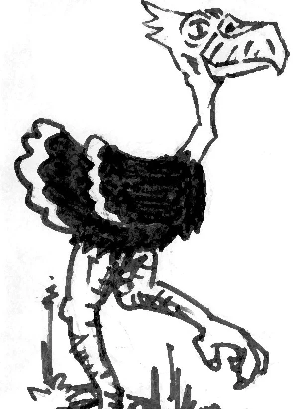 "Axe beaks are prehistoric, carnivorous, flightless birds...An axe beak resembles an ostrich in its lower portions, with a strong neck and a heavy, sharp beak." -AD&D Monster Manual