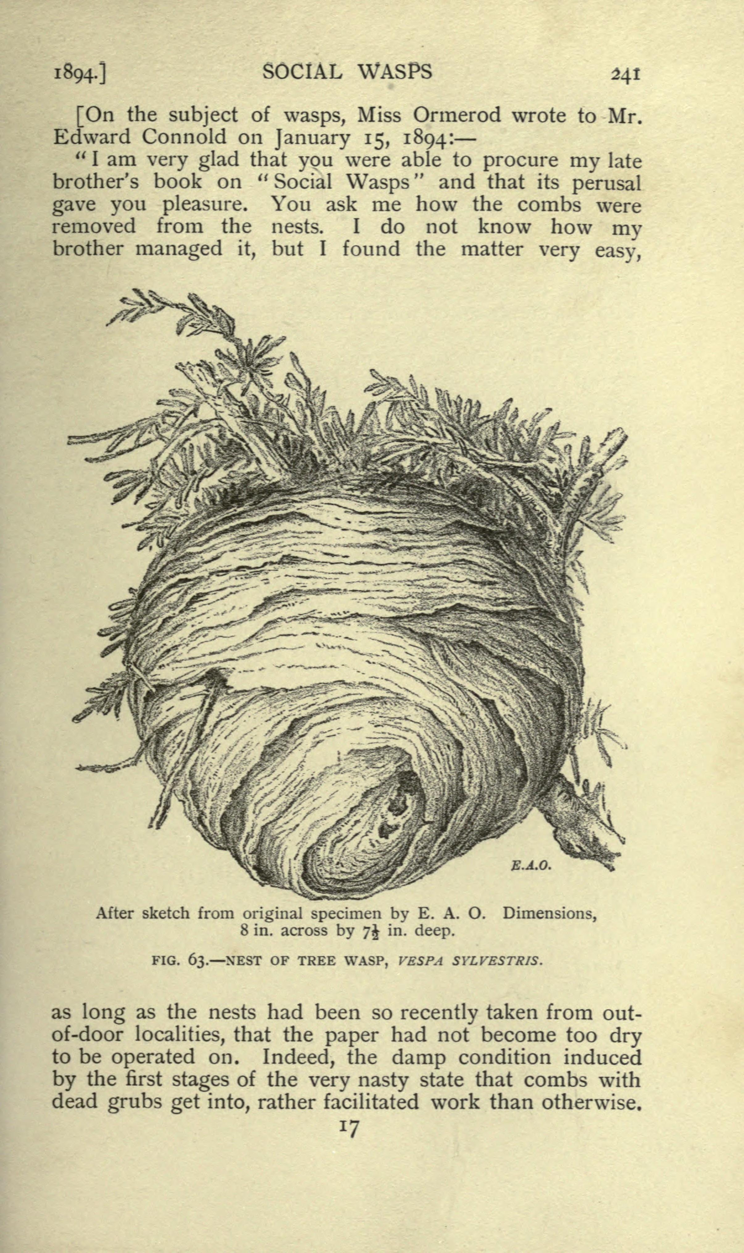 image1-7.jpeg