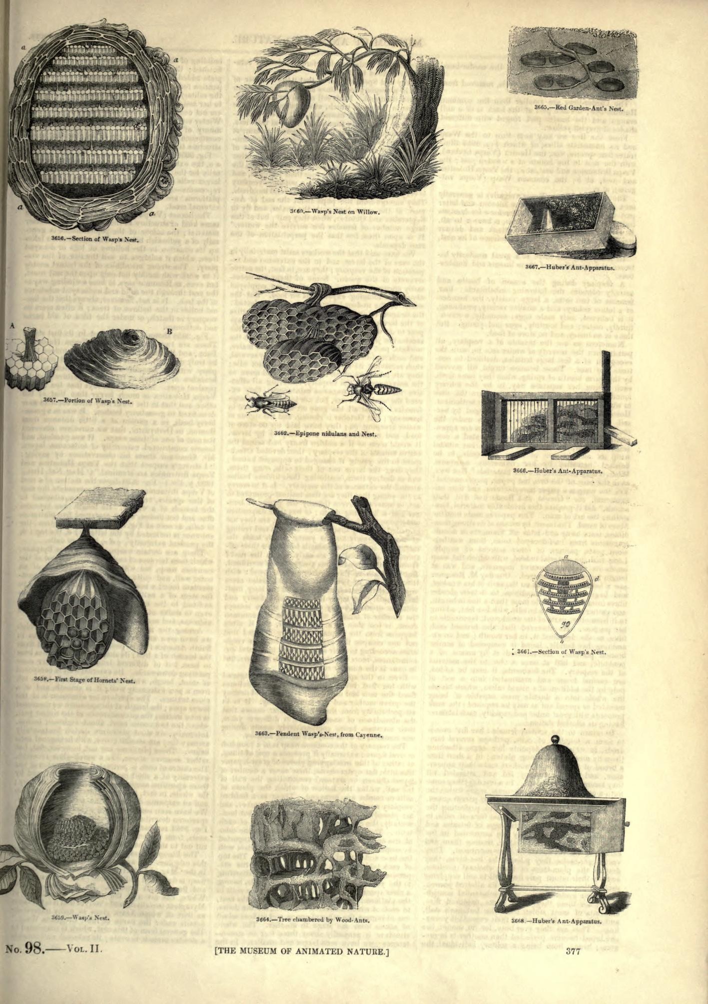 image3.jpeg