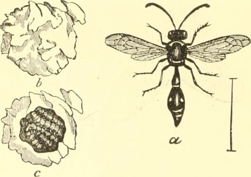 image4.jpeg