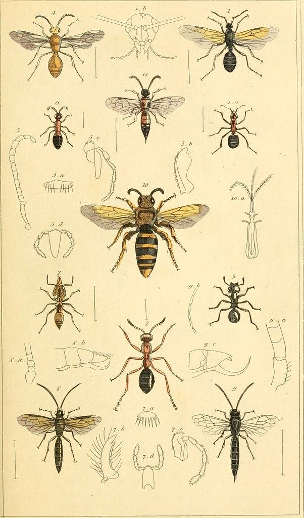image2-3.jpeg