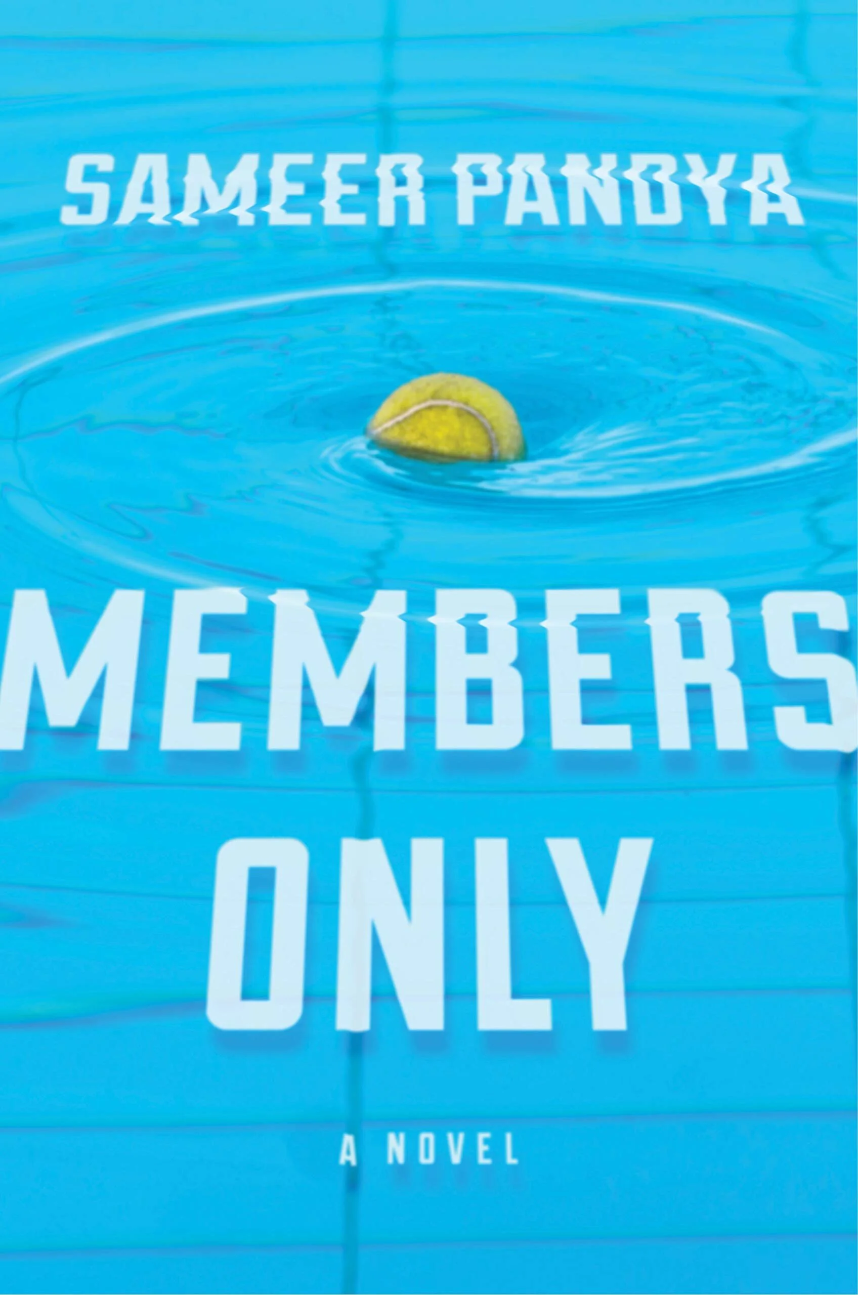 "Making Nowhere the Somewhere I Live": An Interview with Sameer Pandya