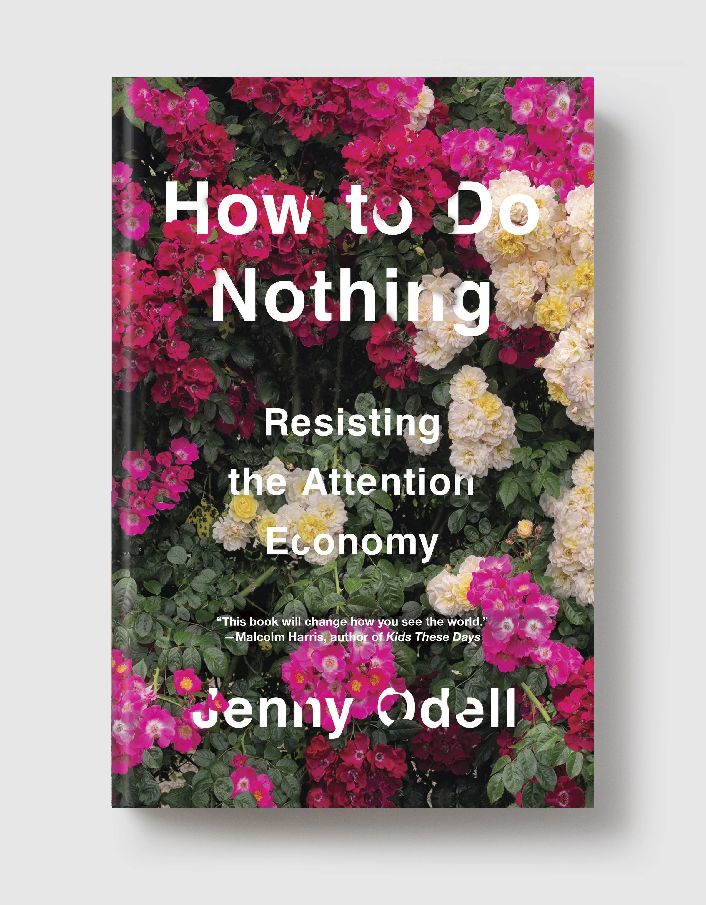 What We're Reading Now: "Embracing Jenny Odell’s HOW TO DO NOTHING During Shelter-in-Place" by Melissa Darcey
