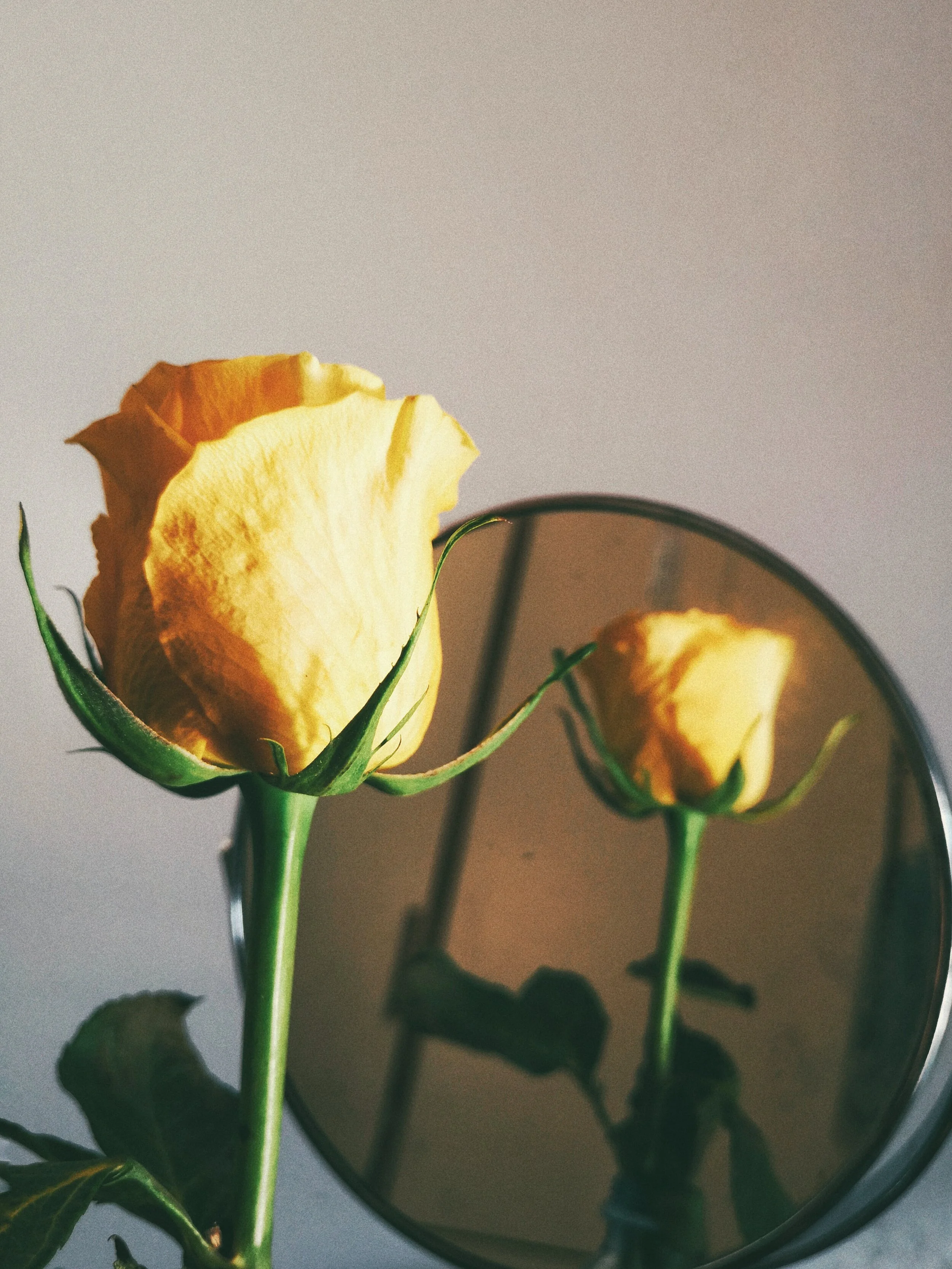 Two Poems by Marco Yan