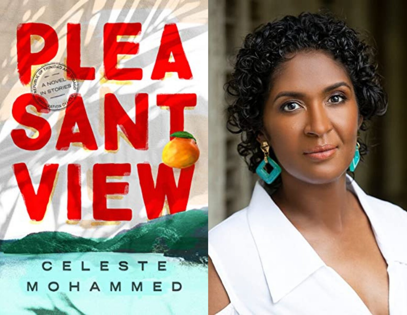 What We're Reading Now: "Entering the Dragon's Mouth in PLEASANTVIEW" by Mina Hamedi