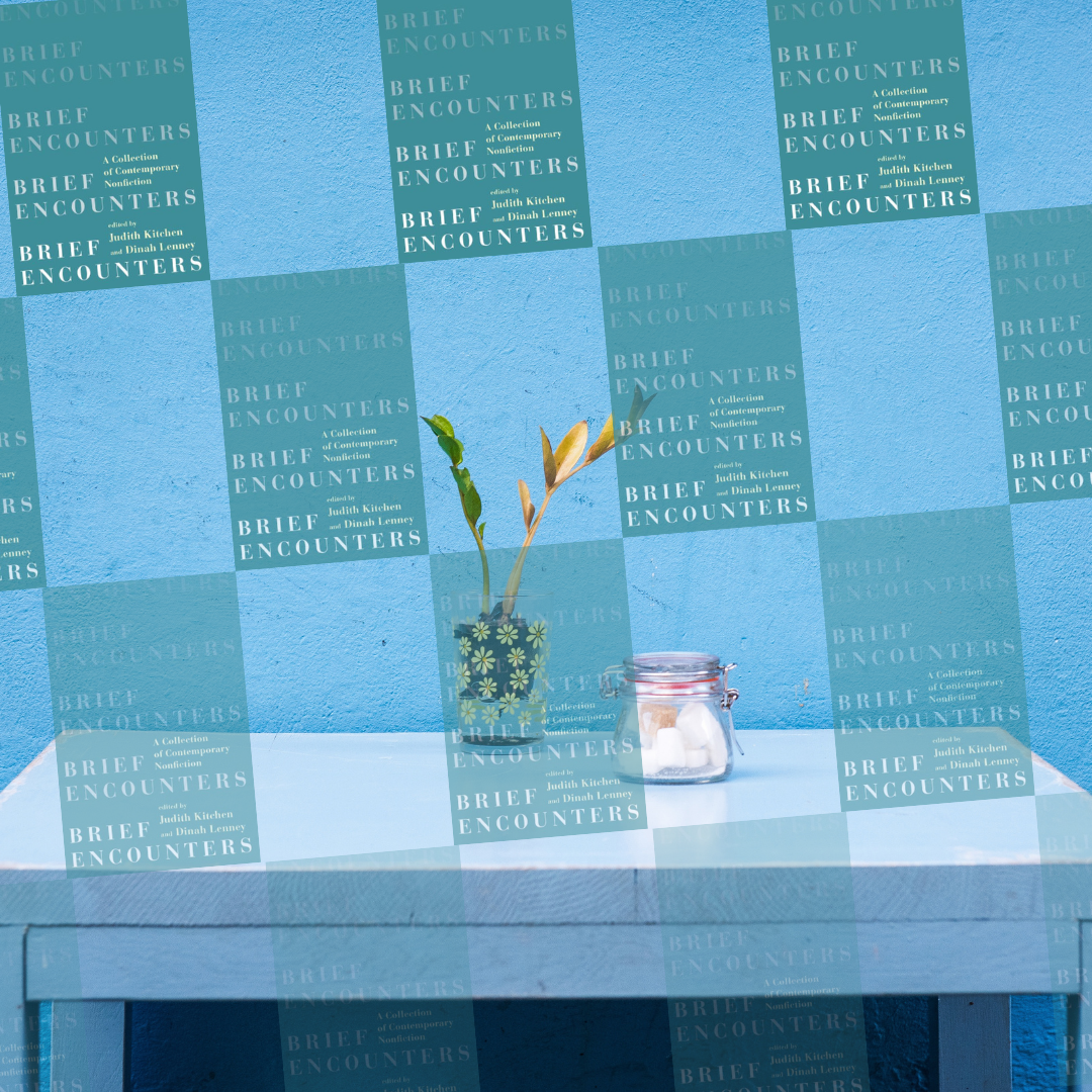 Brief and Continuous Encounters with Brief Encounters: Beth Kephart on Lenney and Kitchen's Collection of Contemporary Nonfiction