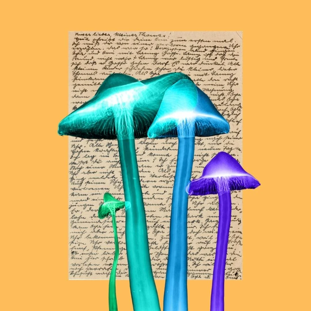 "Decomposition" by Bonnie Chau