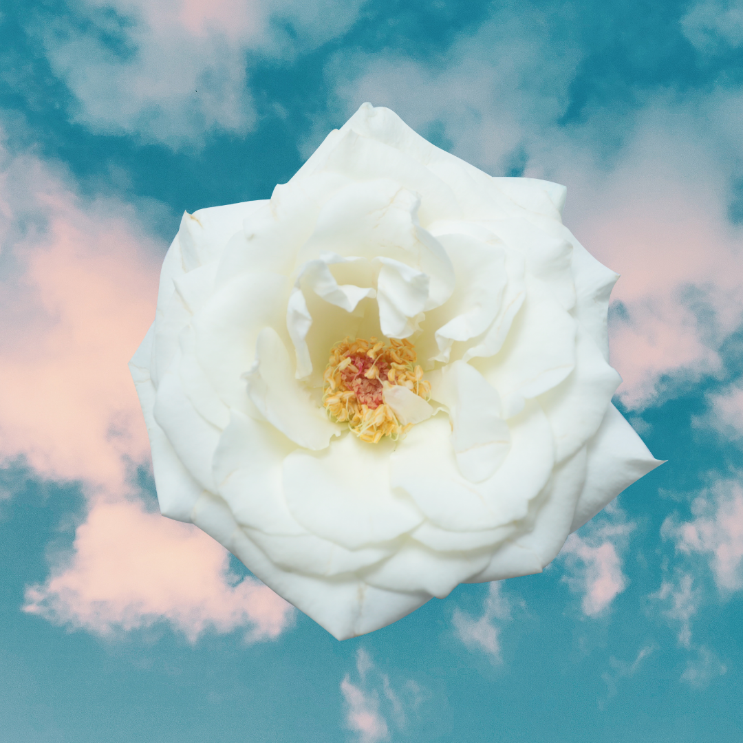 Two Poems by Flower Conroy