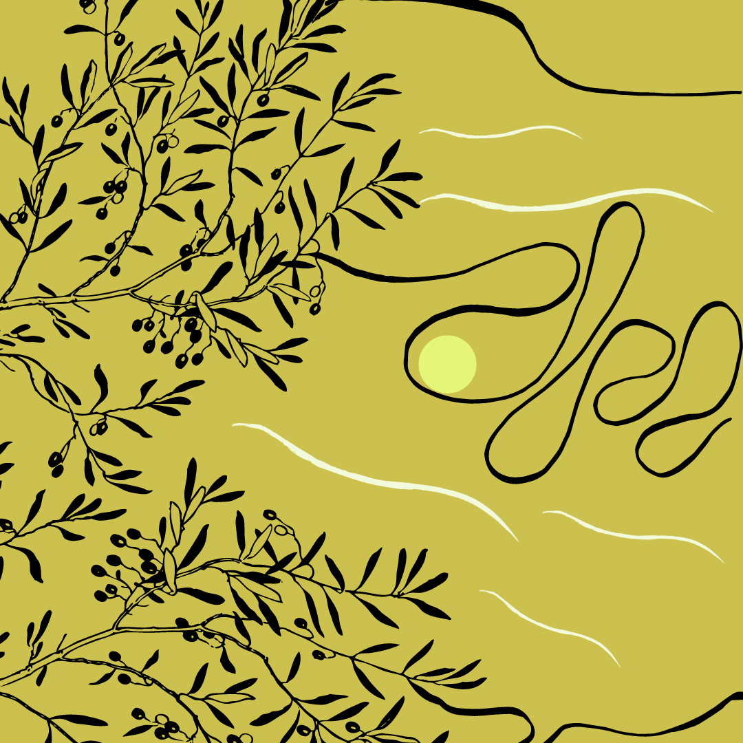 Two Poems by Mohammad-Ali Sepanlou