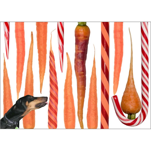 candycarrot.jpg