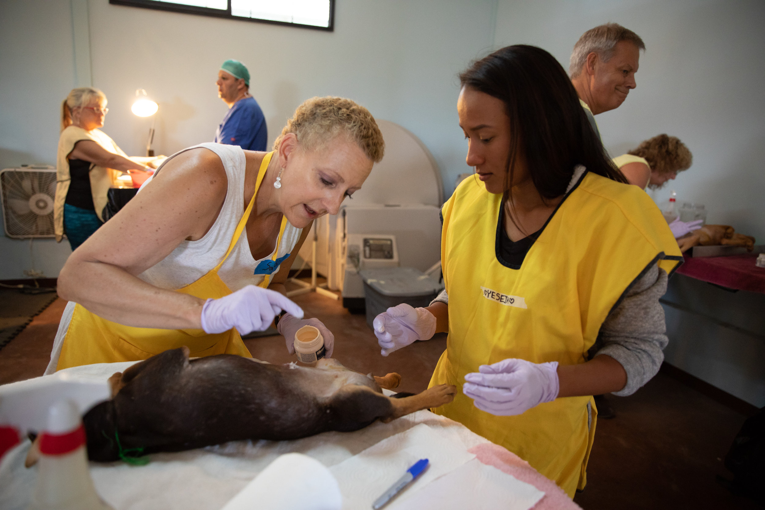 190526_AmigosDeAnimales_WEBSITE(11)-2240.JPG