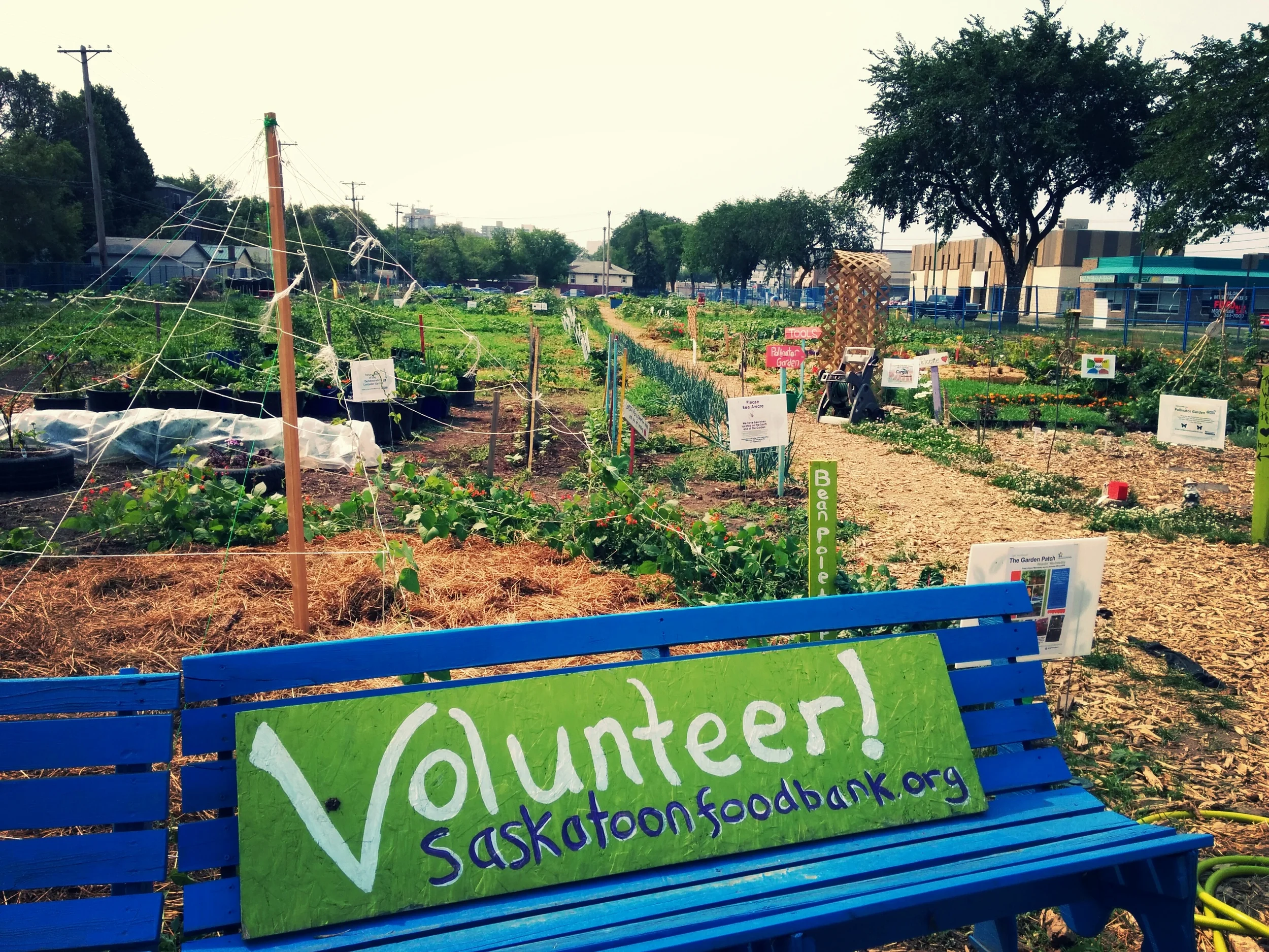 Urban Agriculture — Saskatoon Food Bank & Learning Centre