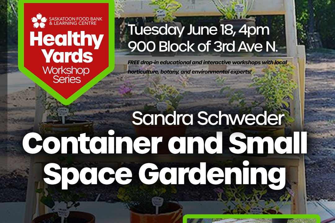 Container and Small Space Gardening with Sandra Schweder