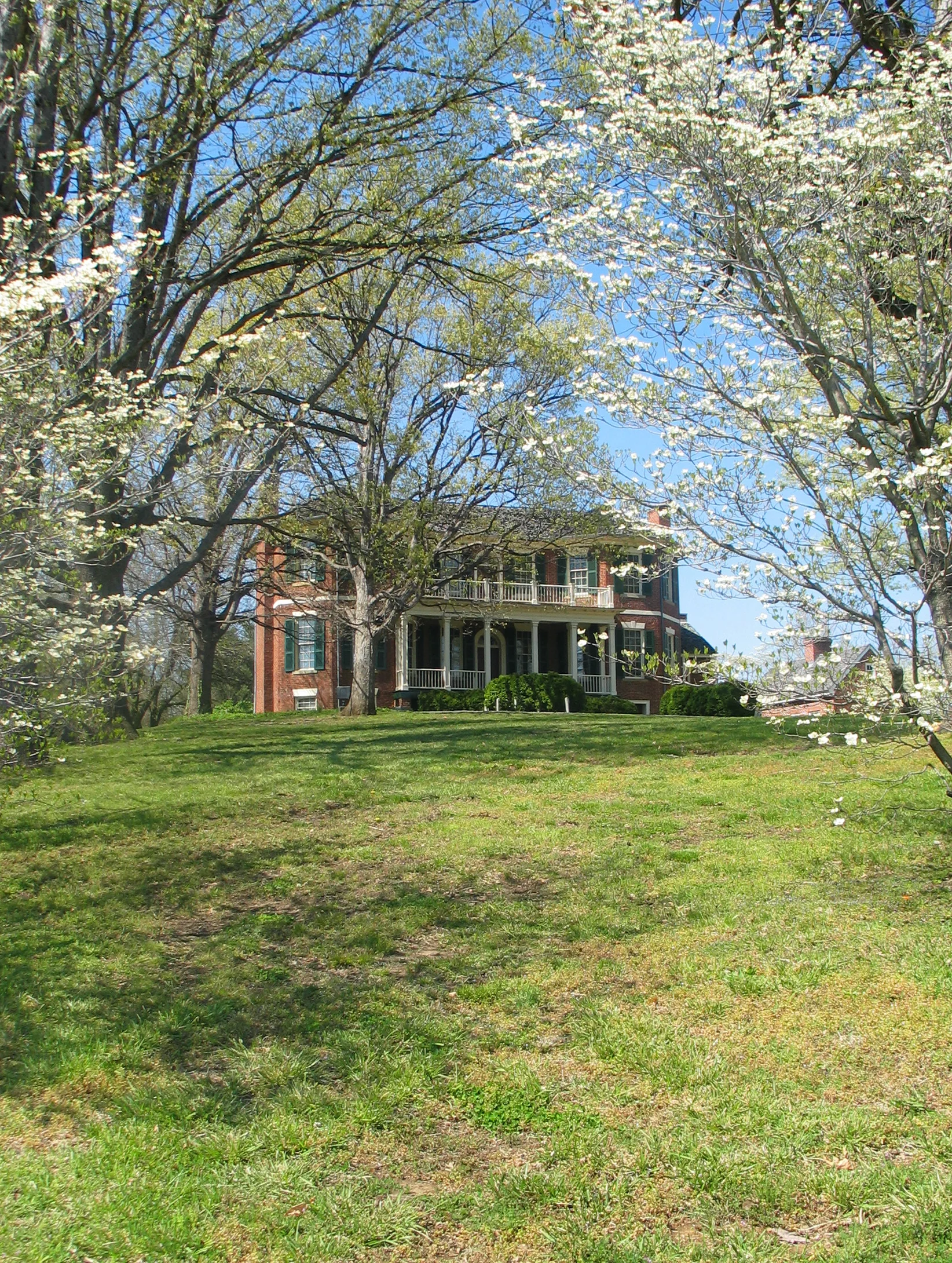 Spring 2007 13.jpg