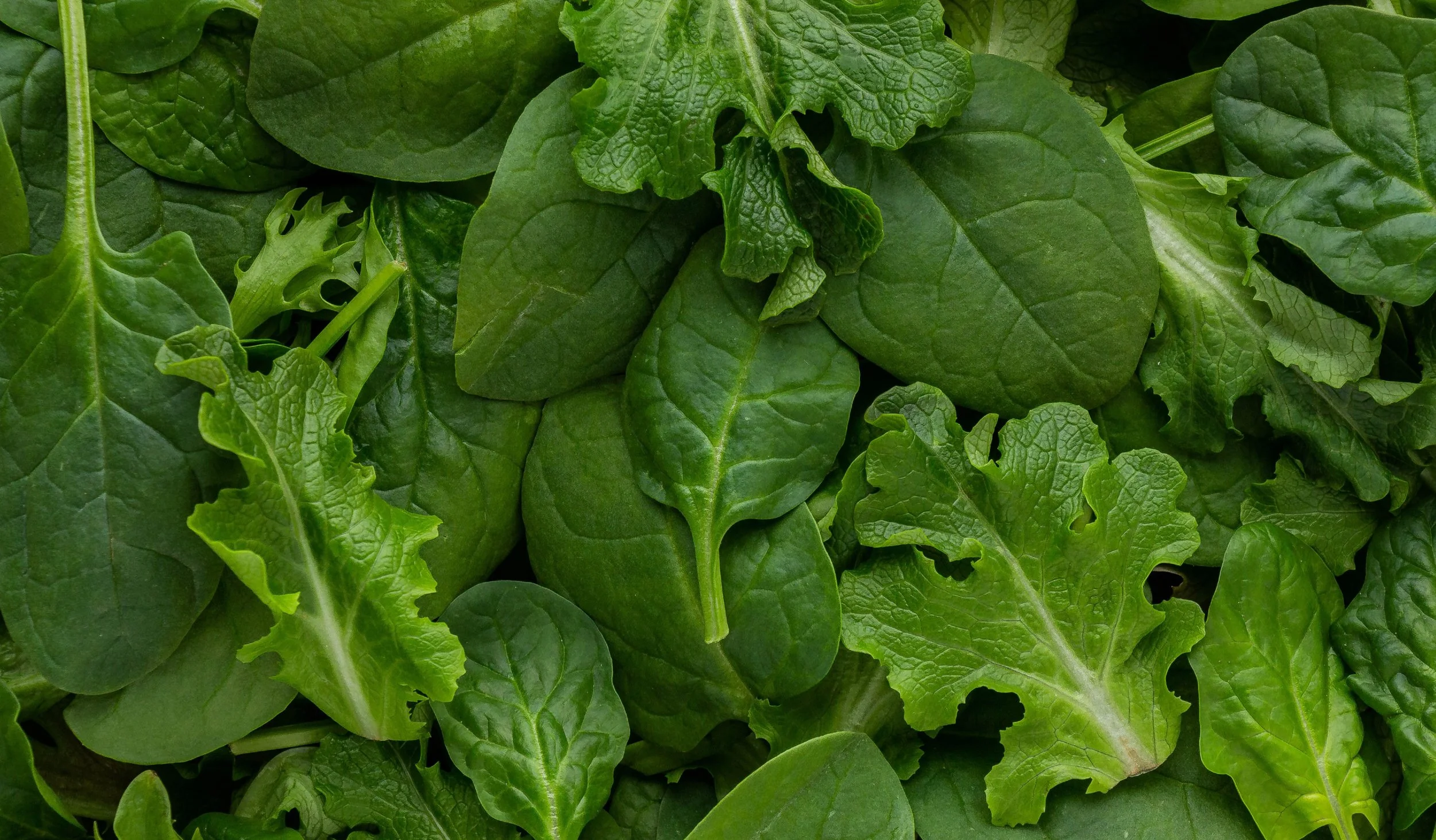 Dole Packaged Salads