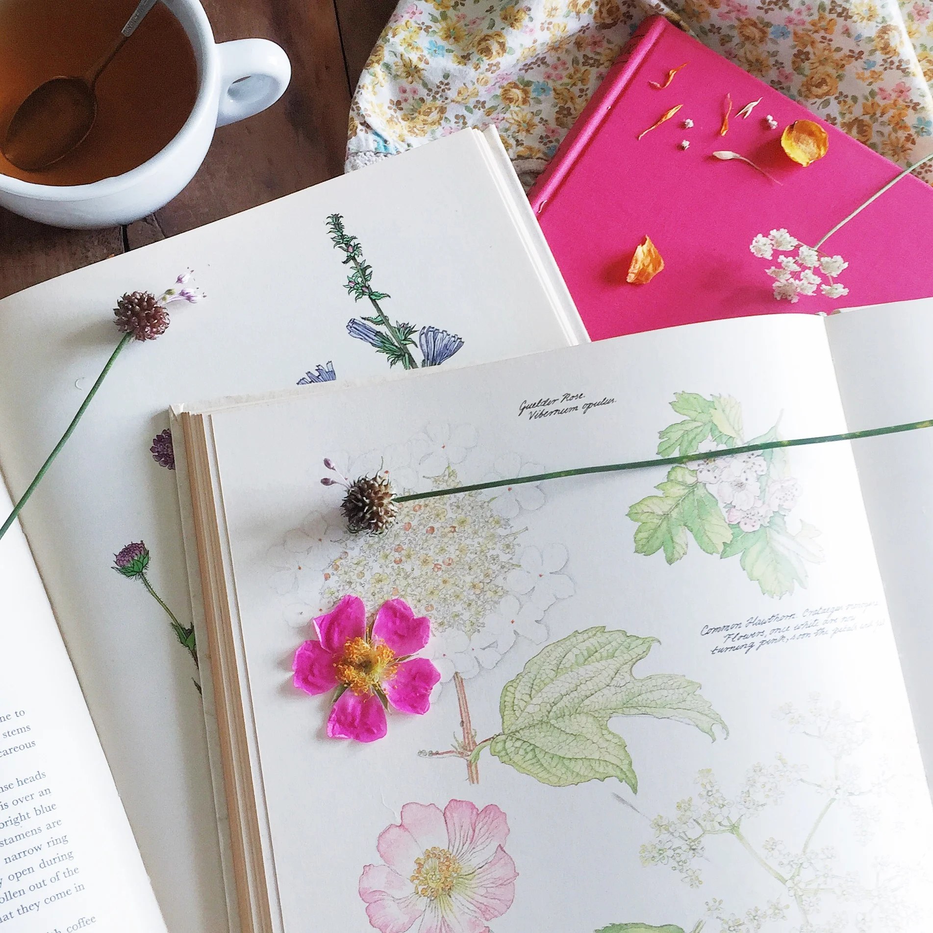  Processed with VSCOcam with s2 preset 