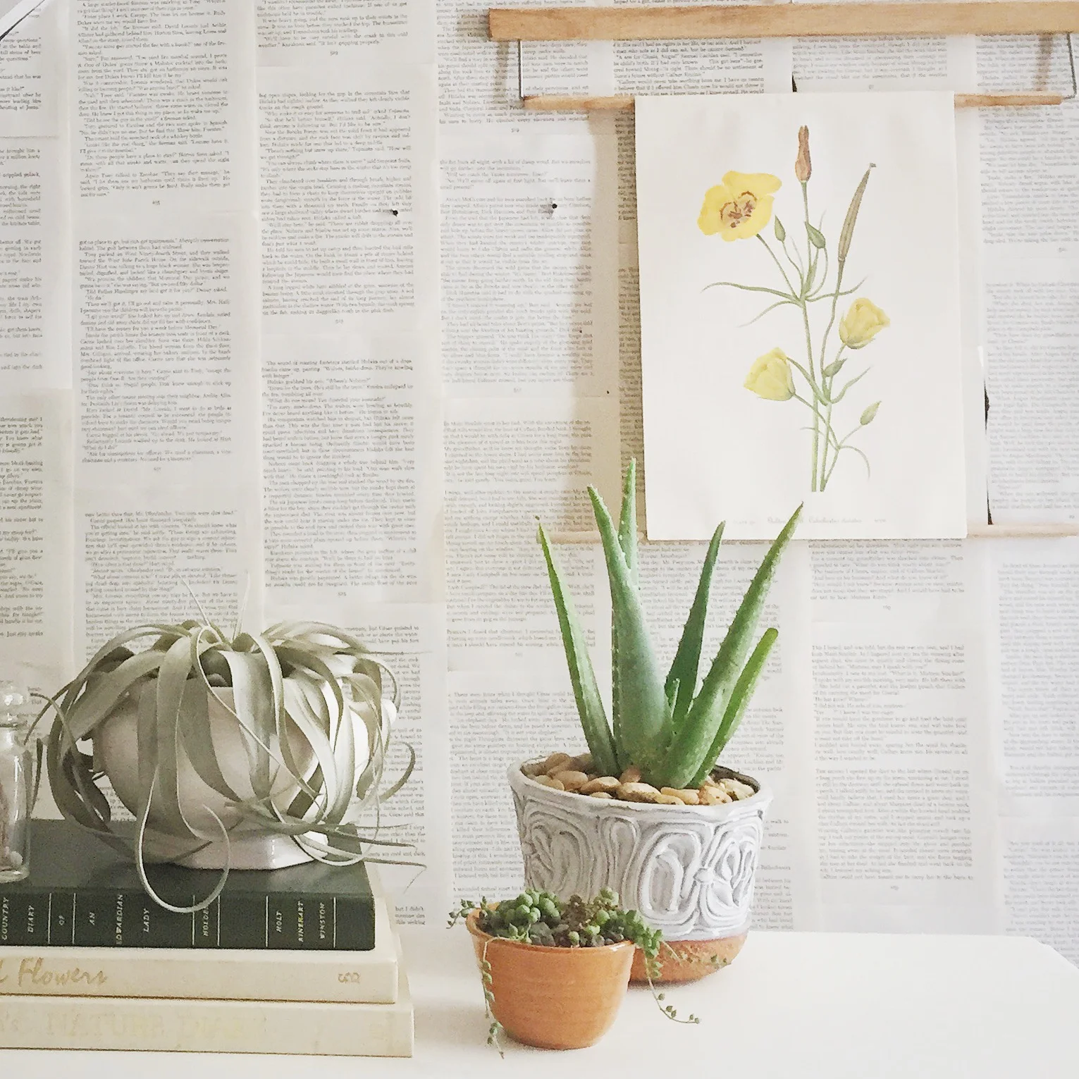  Processed with VSCOcam with s3 preset 