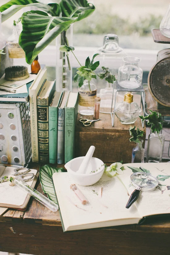 botany_table_3.jpg