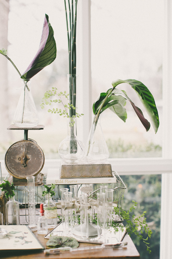 botany_table_5.jpg