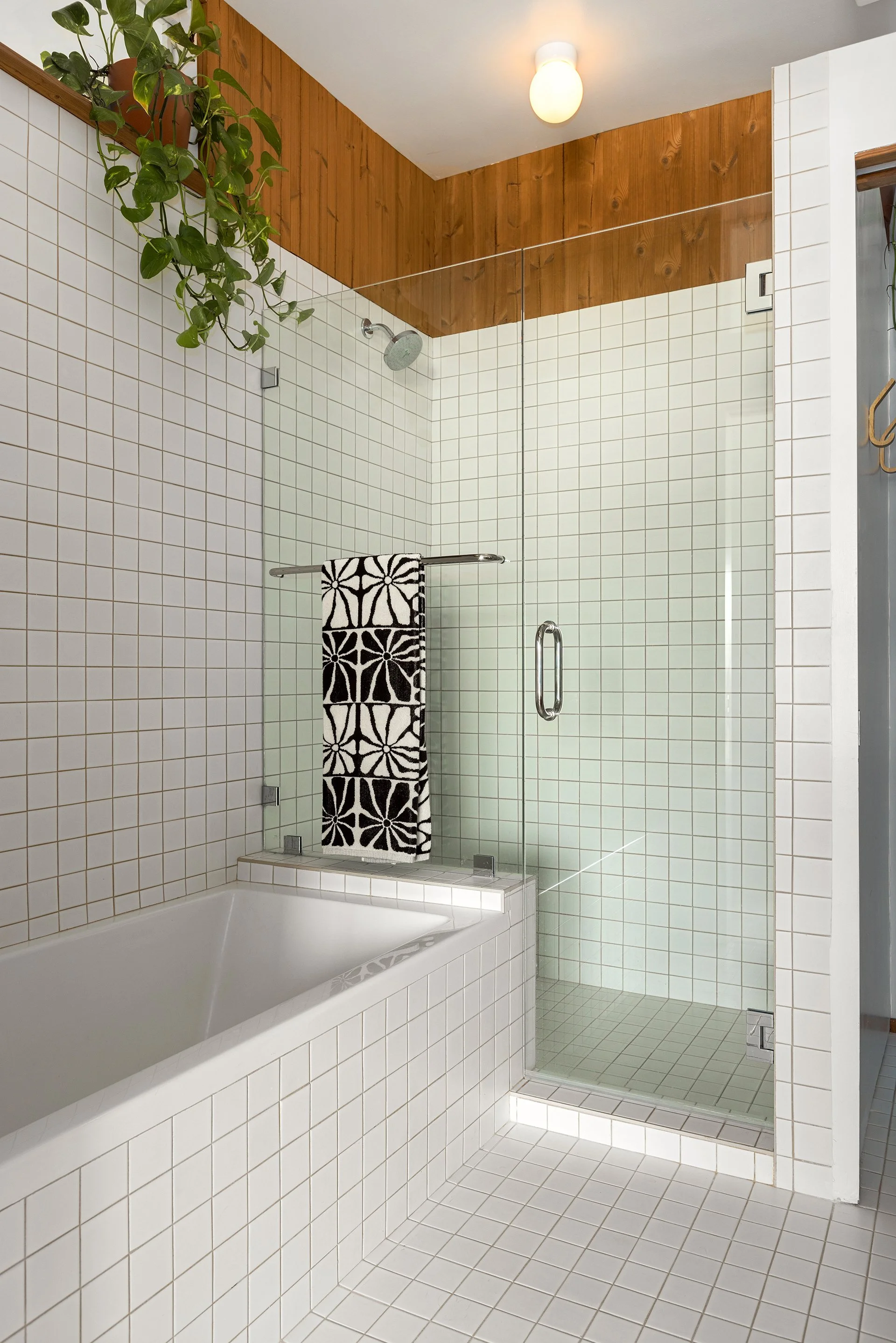 Surf Shack Web (6).jpg