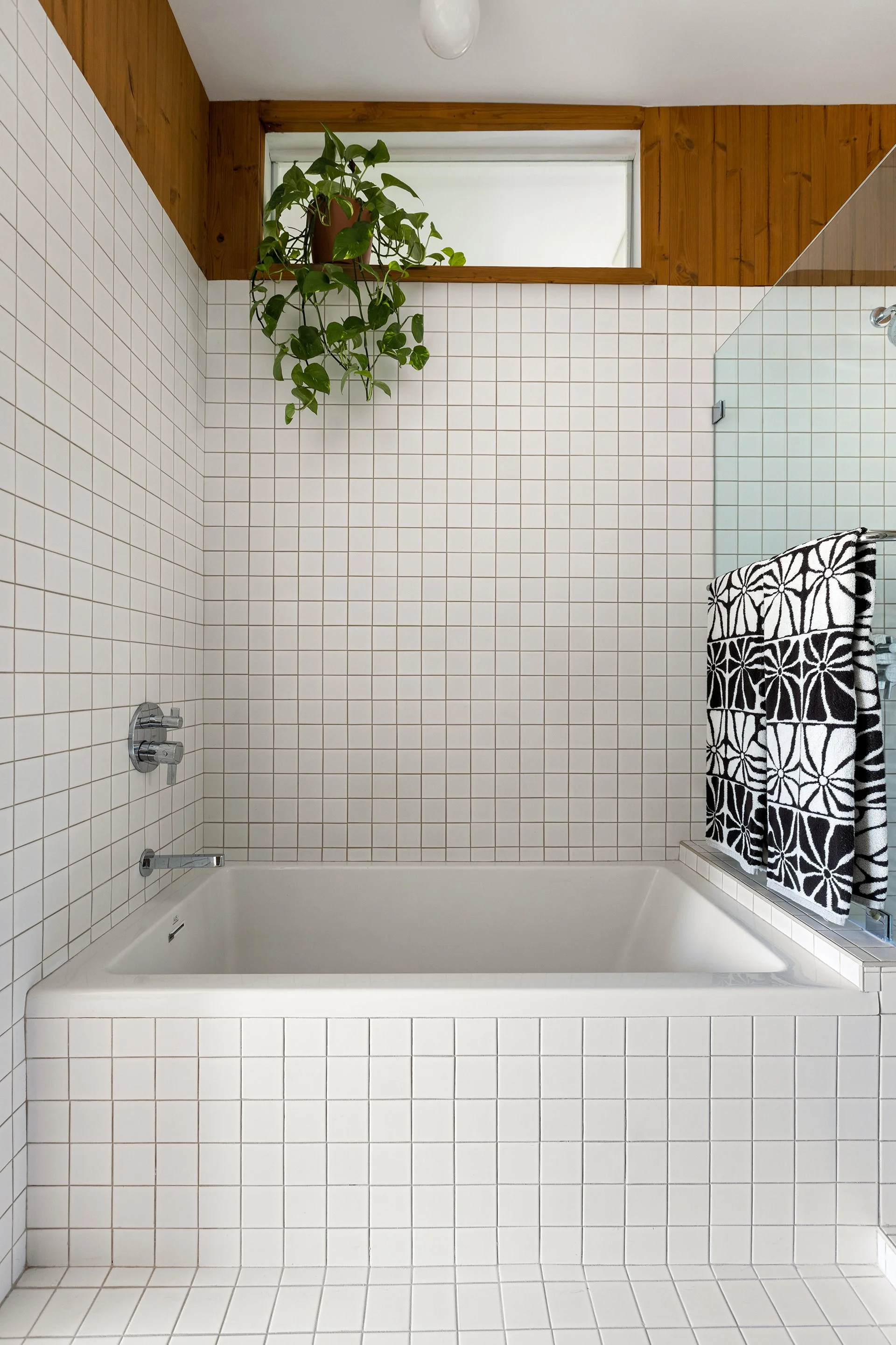 Surf Shack Web (5).jpg