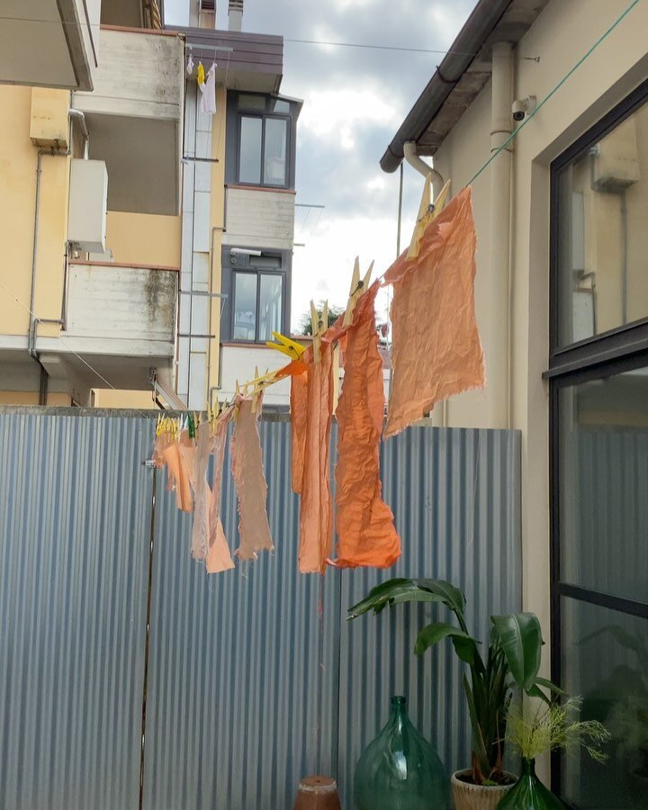 SNEAK PEAKS FROM THE PAST WEEKS IN THE LOTTOZERO TEXTILE LAB 🥼 

The lab has been well used over the last few weeks, experimenting with natural dyes, especially Indigo, Madder and Weld.
Stay tuned because the indigo dyed yarns will be used to create