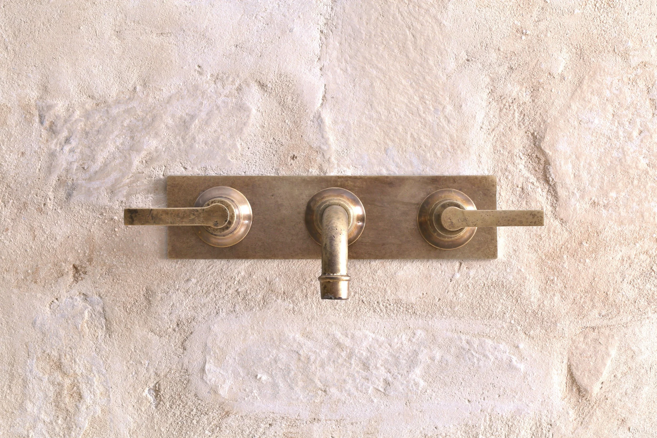 F204 Brass Backplate Only
