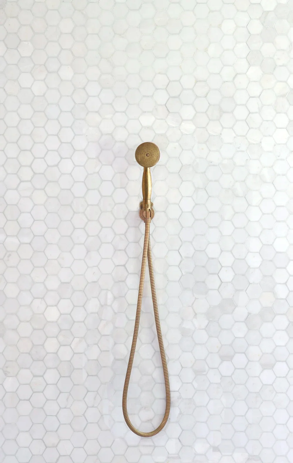 SH425 Sprayer and Hose