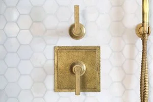 Master+shower+plate+and+handle.jpg