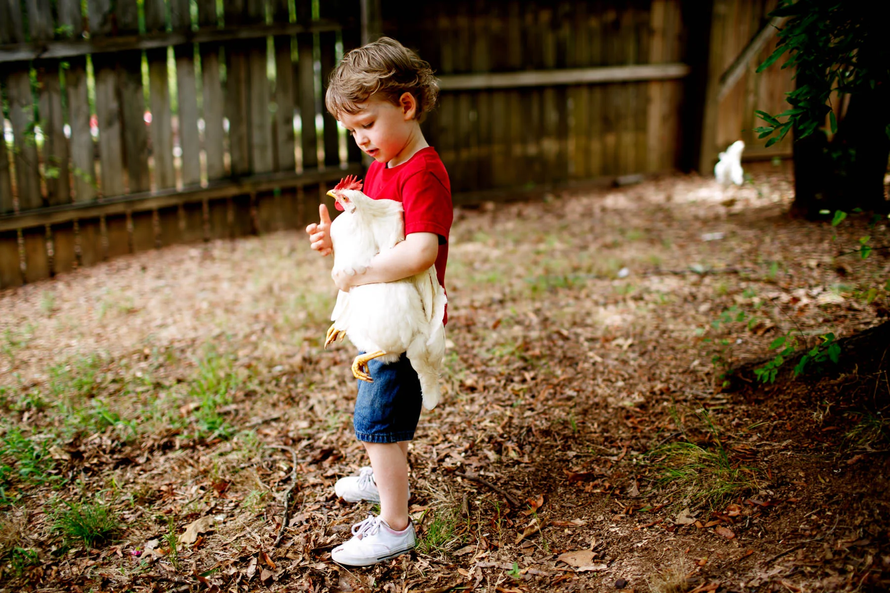 no-kid-hungry-23.jpg