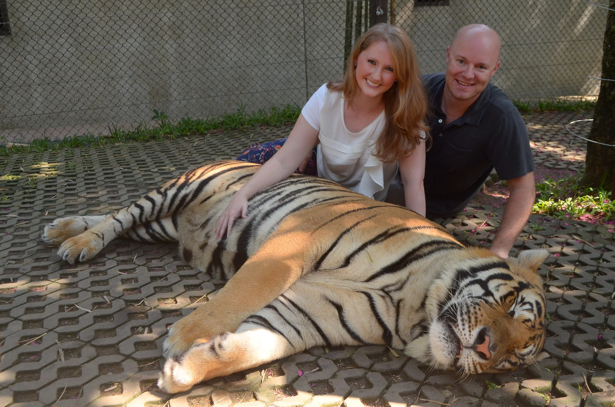 Chiang Mai, Thailand