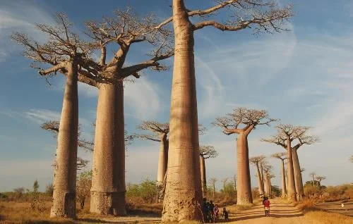 Where to Go in 2016 - Rewarding Travel Edition