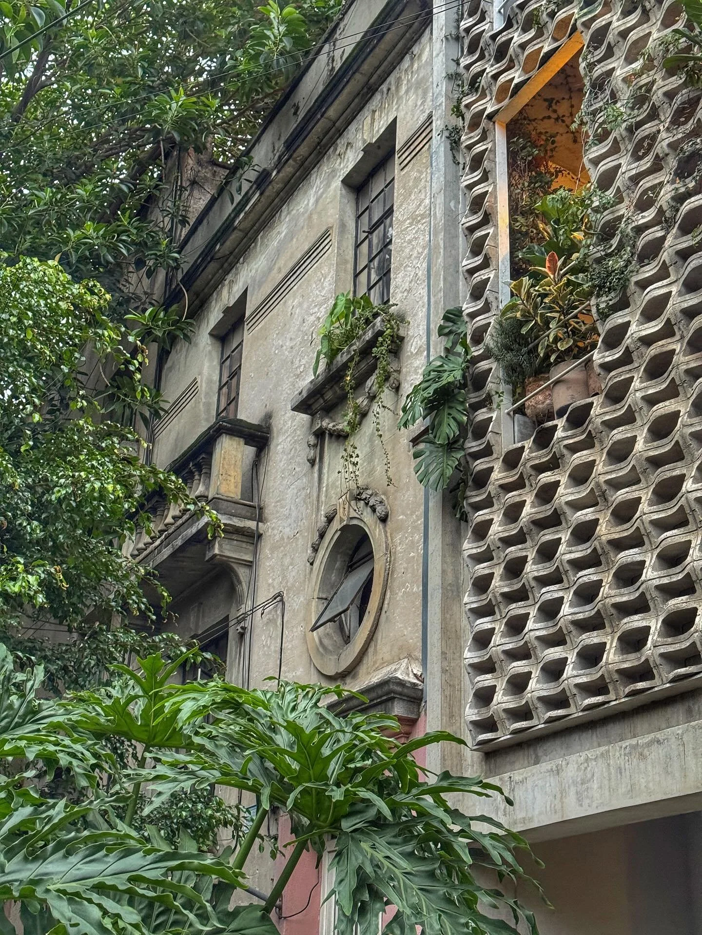 A mix of photos I snagged while spending 4 days in CDMX! Food pics are coming up next ha. Loved this city! #cdmx #mexicocity #mexico #weekendgetaway #weateevery10minutes #travel #chasingextinction