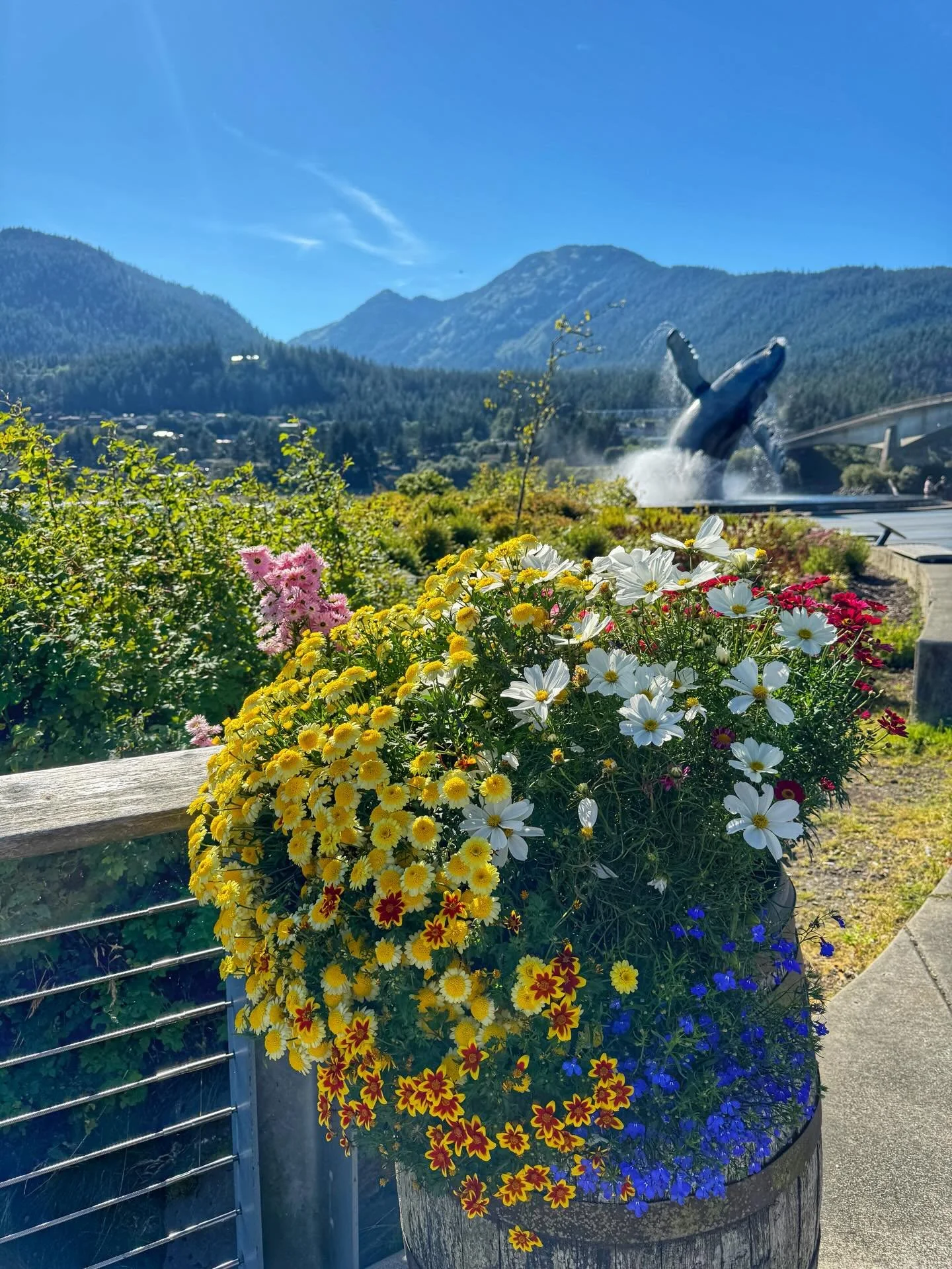 6 months later, catching up on Insta posts! In August, I took my very first cruise to Alaska and my parents joined us for this trip! 
.
Day 1 and 2 were at sea from Vancouver as we sailed toward our first port, Ketchikan on day 3. We spent time wande