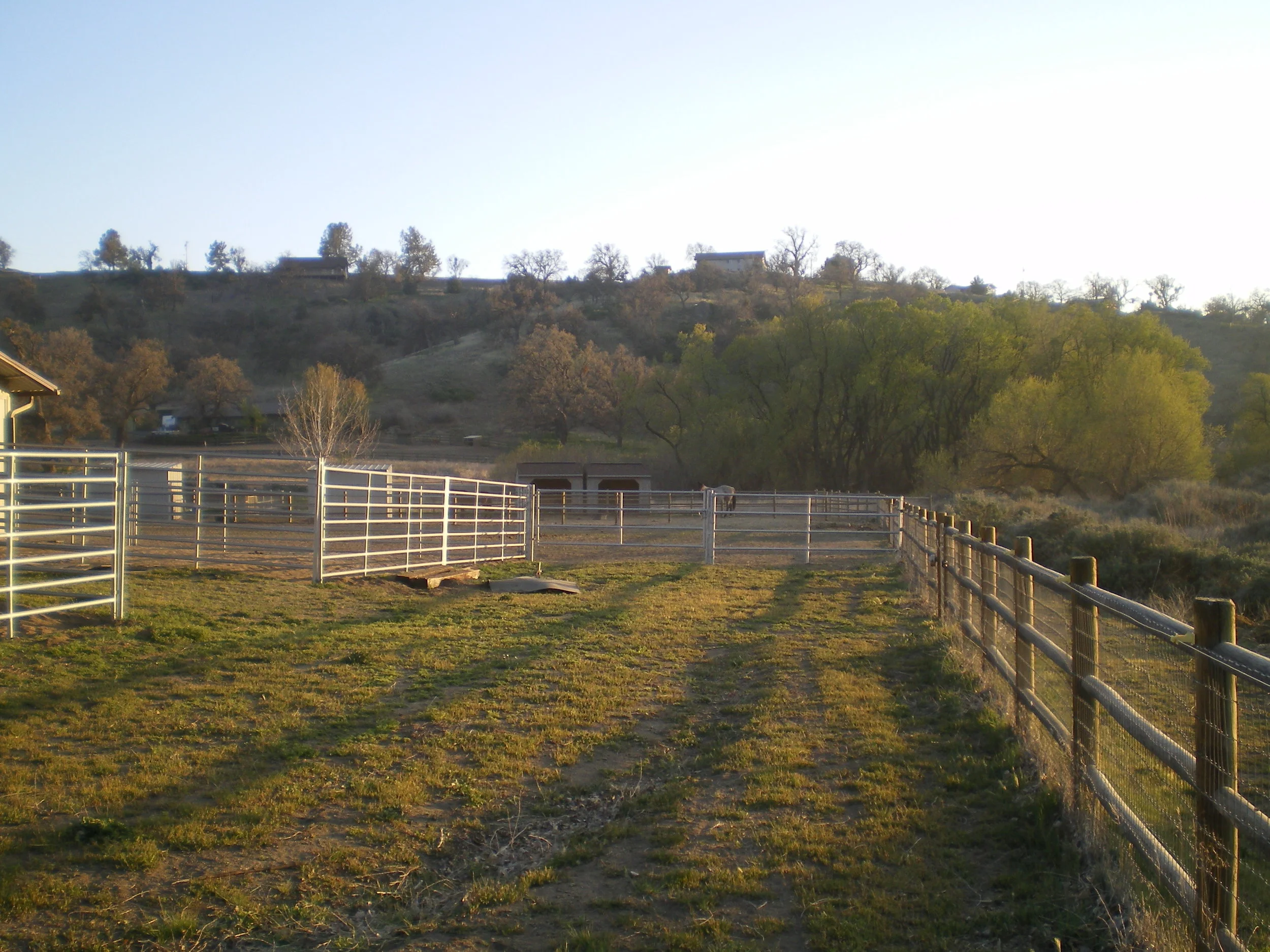 IMGP0310.JPG