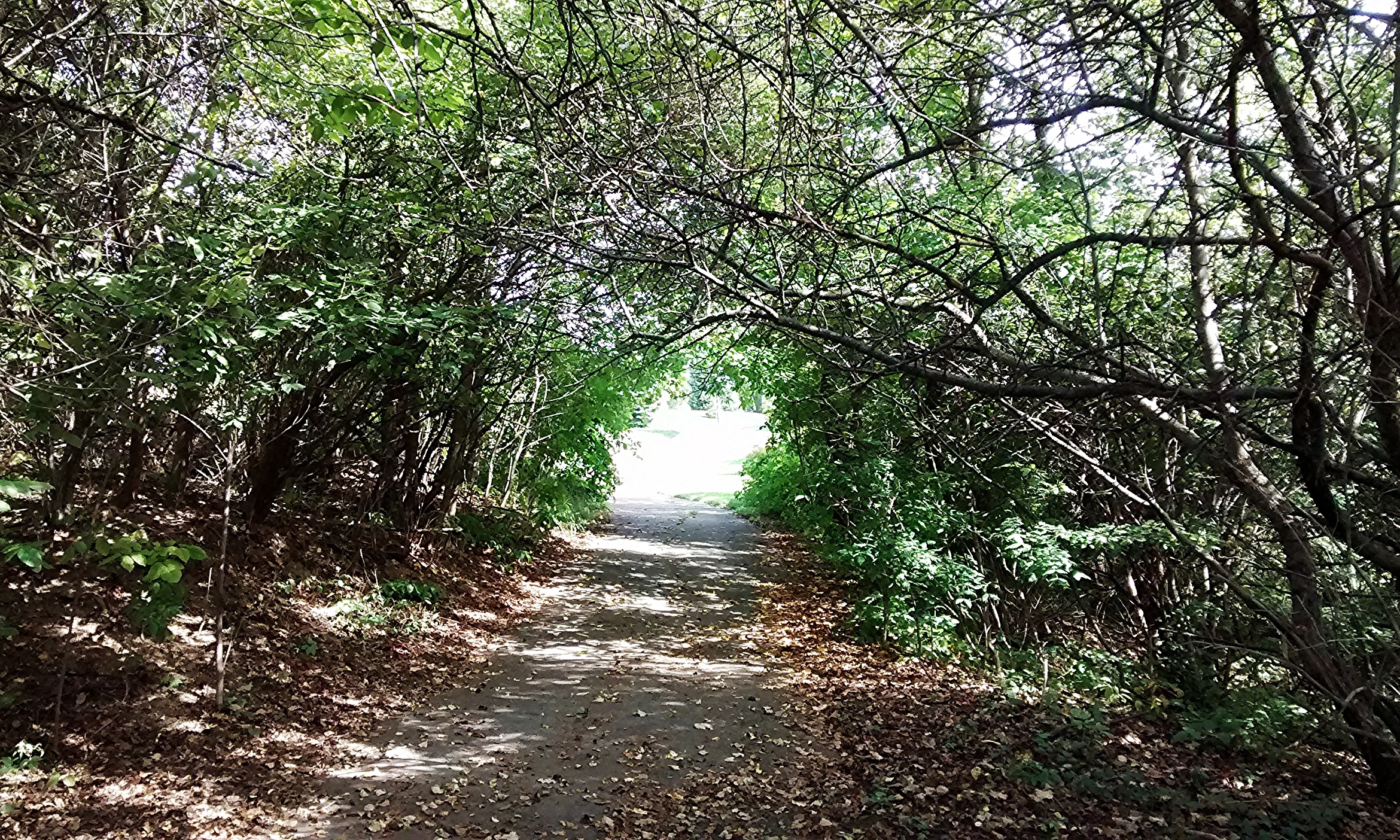 The crumbly paved path between my parent's house and the next neighborhood over. This is where Grace and Peace found me last week.