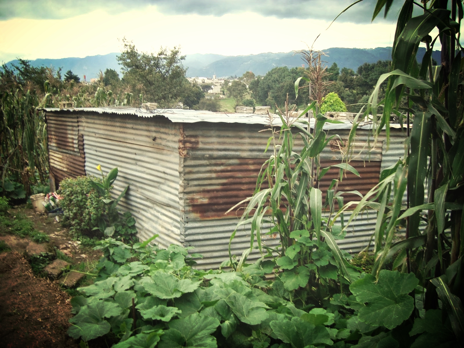 Pablino and Victoria's home. We tried to visit once a month while we lived in Guatemala. We learned so much from them. Such beautiful people.