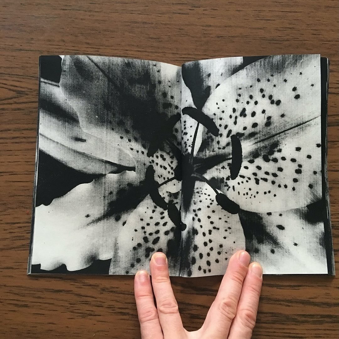 Something I&rsquo;ve been working on&hellip; 

I&rsquo;m excited for the inaugural Brighton Art Book Fair which opens tomorrow at Phoenix Art Space! We have an international and eclectic selection of beautiful photo books, fun zines and exquisitely p