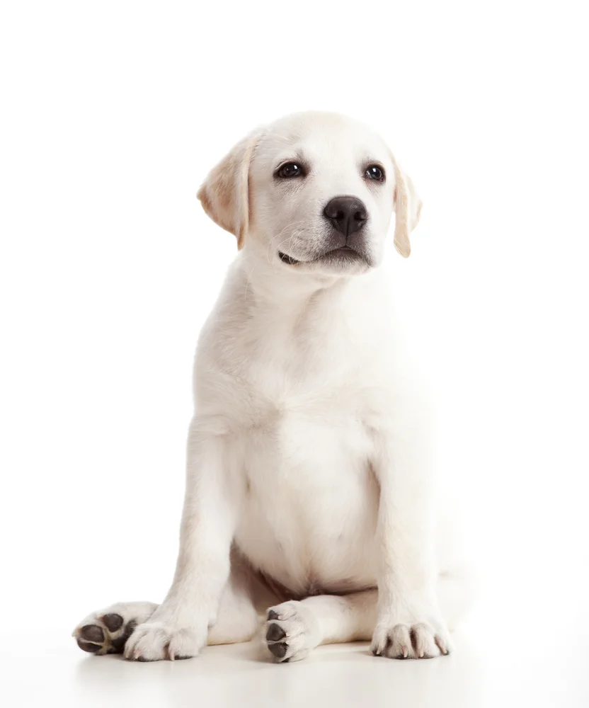 shutterstock_70616458.jpg