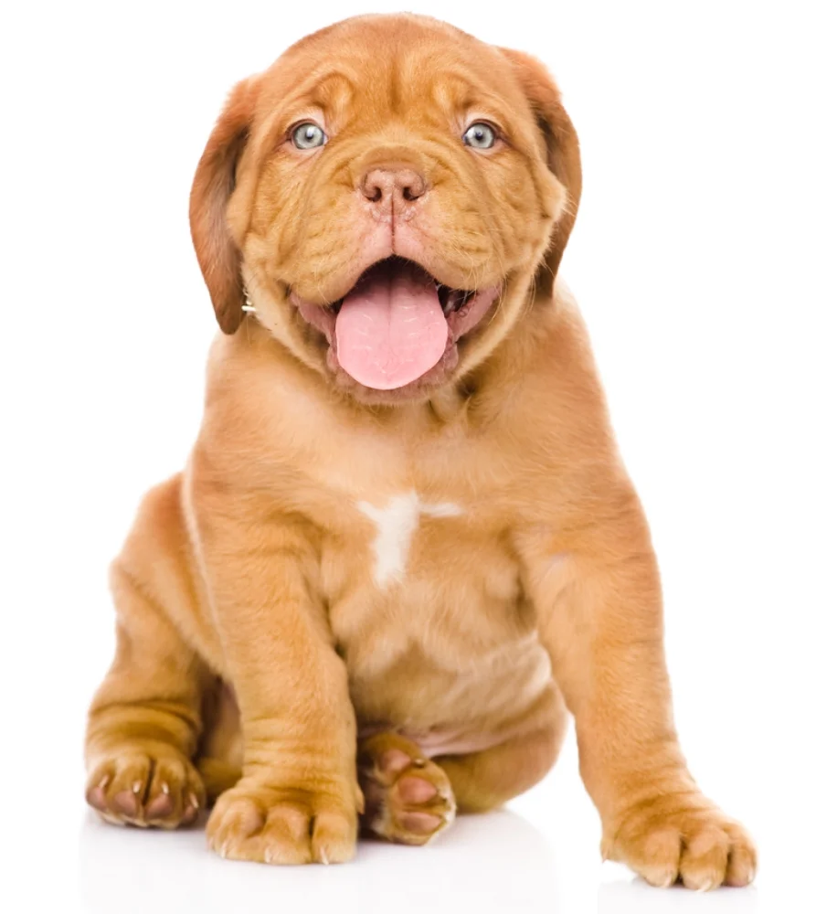 shutterstock_128887112.jpg