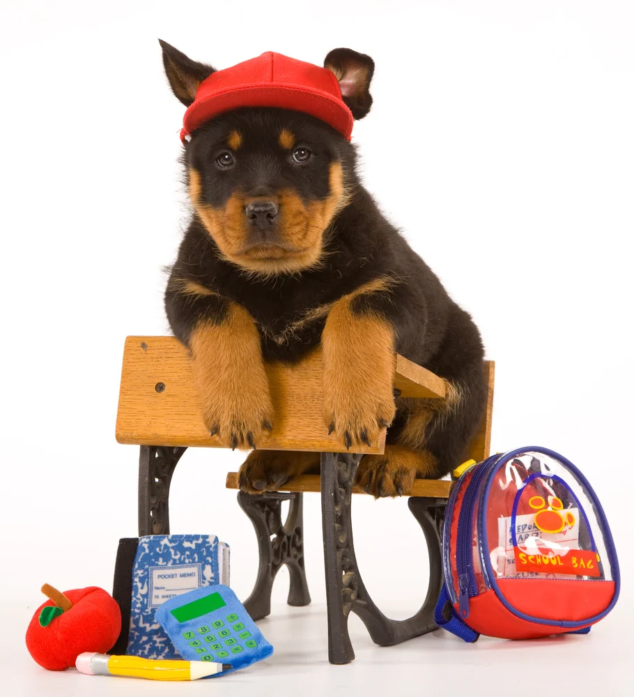 shutterstock_65896171.jpg