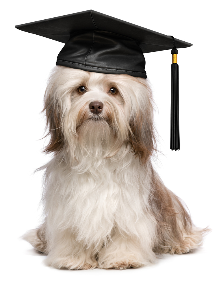 shutterstock_140233216.jpg
