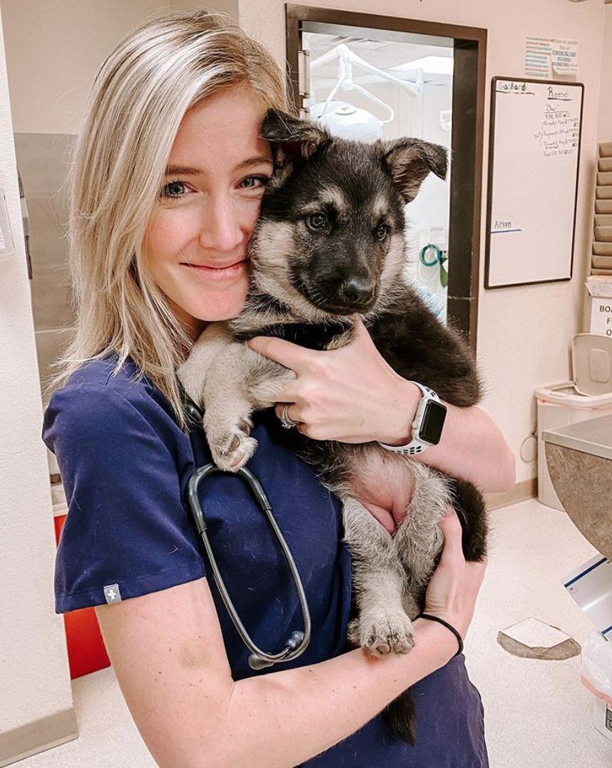 Puppy’s First Year Milestones! — The Puppy Academy