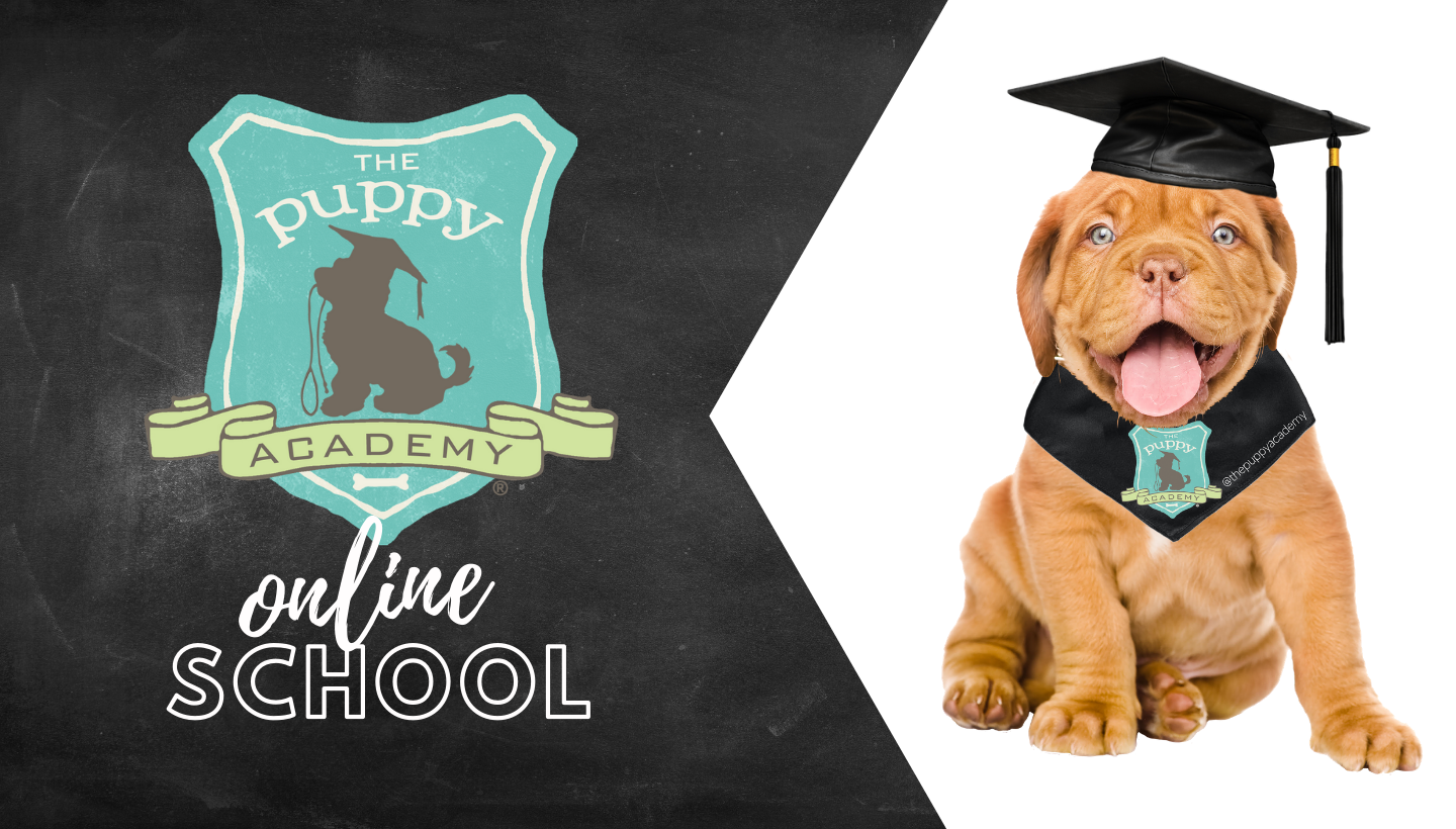 Complete Puppy Training Schedule by Age! — The Puppy Academy