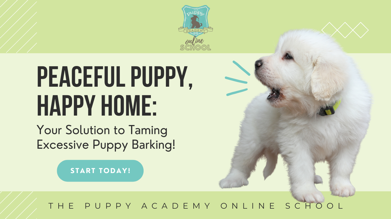 Excessive Barking Puppy Training Barking Dog Barking At Me How To