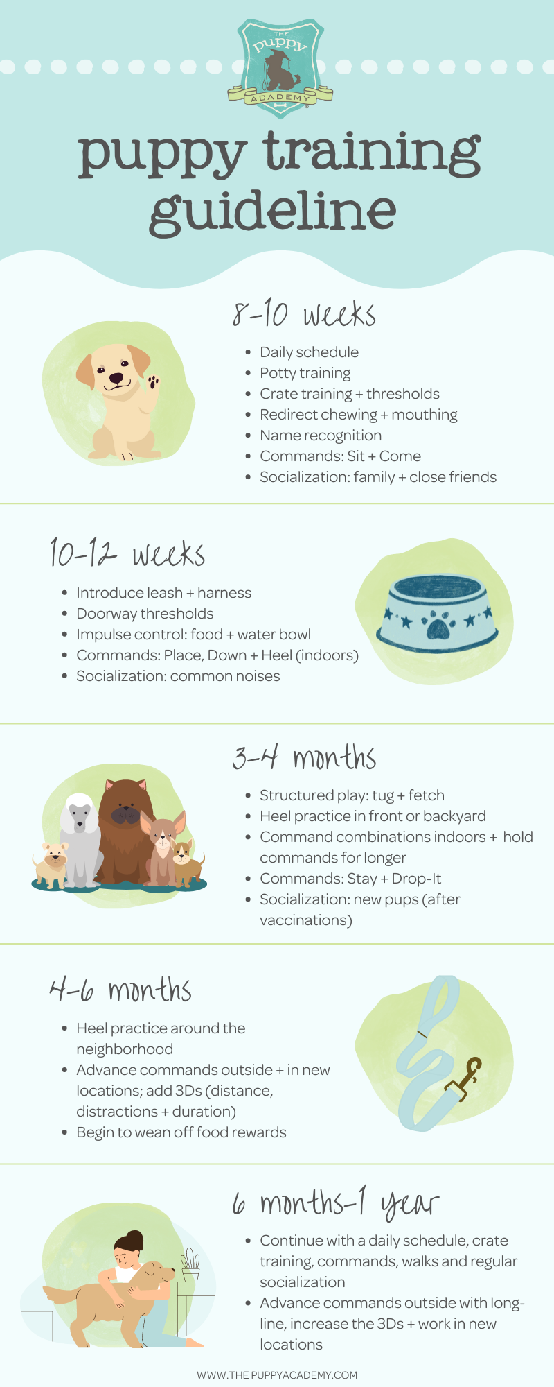 Complete Puppy Training Schedule By Age! — The Puppy Academy