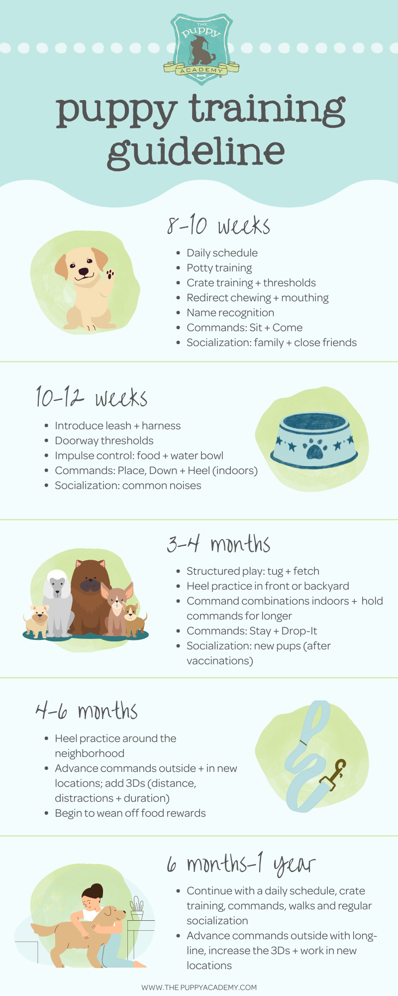 how long should you walk a 12 week old puppy for