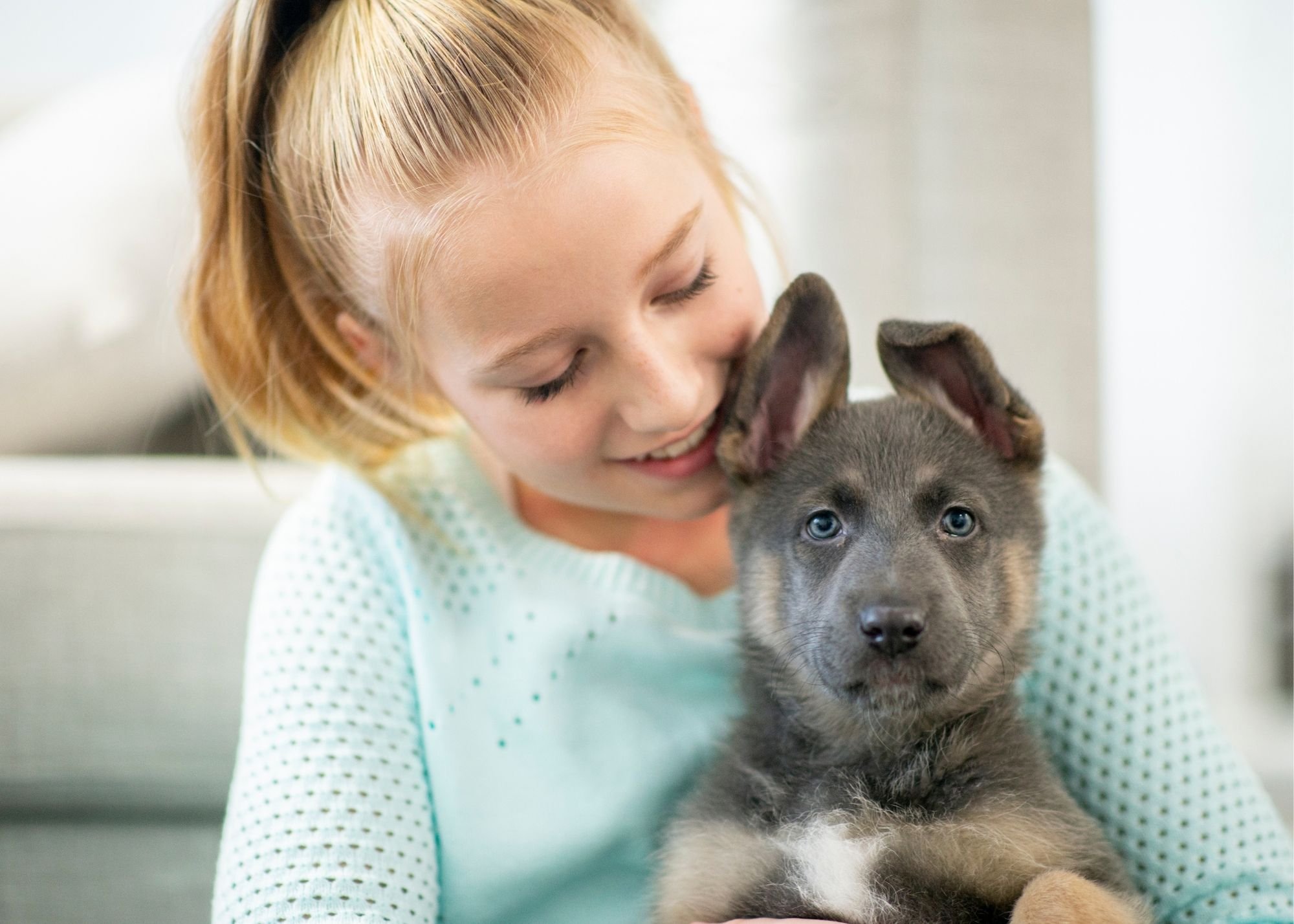 why dogs raise their ears