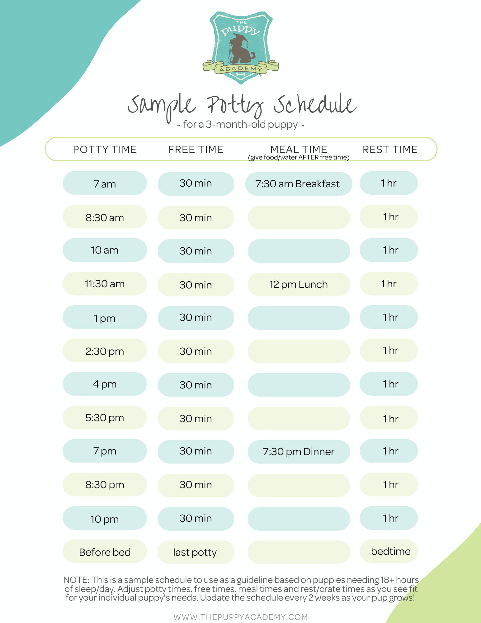 Potty Training Schedule Template